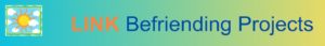 linkbefriending logo